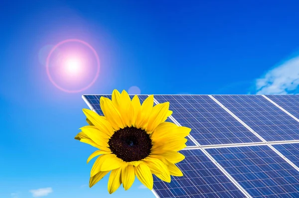 Solpanelenergi med solros — Stockfoto