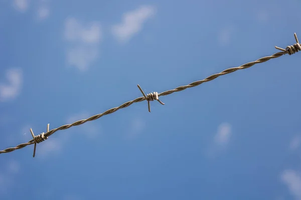 Barbed wire border blue background — Stock Photo, Image