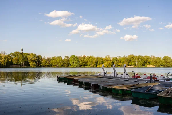 Étang de cygne à Zwickau Allemagne de l'Est — Photo