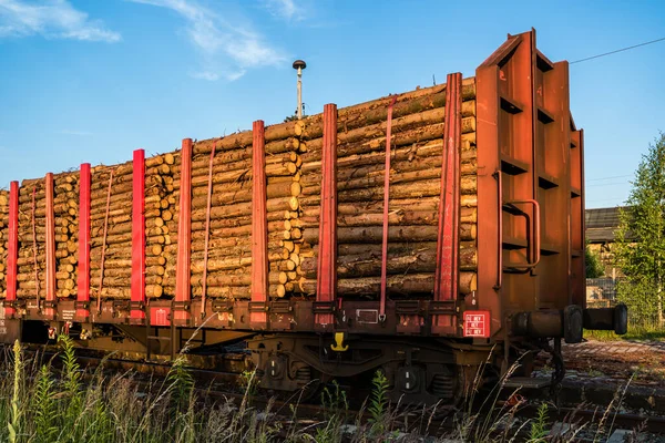 Treno con tronchi d'albero sulla ferrovia — Foto Stock