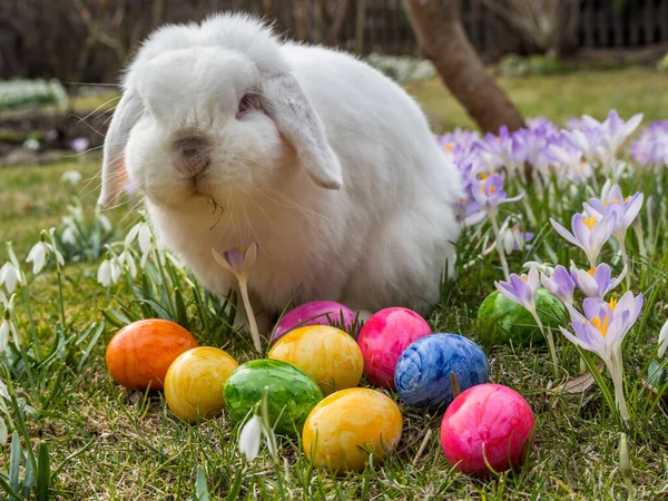 Nice Easter background image — Stok fotoğraf