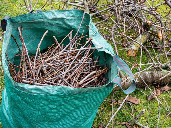 Potatura in giardino Rifiuti del giardino — Foto Stock