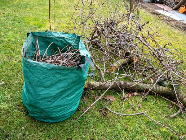 Tree pruning in the garden Green waste — 스톡 사진