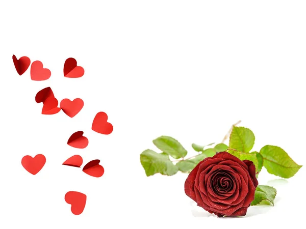 Herzen mit roter Rose Valentinstag Vorlage — Stockfoto