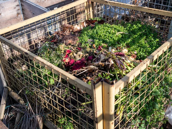 Sampah Organik Kebun — Stok Foto