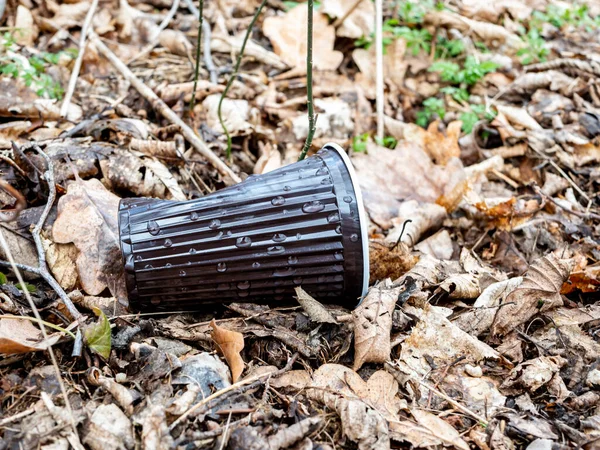 Plastic Afvalkoffie Mok Ligt Het Bos — Stockfoto