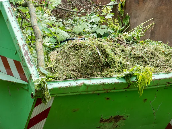 集装箱内的绿色废物 — 图库照片