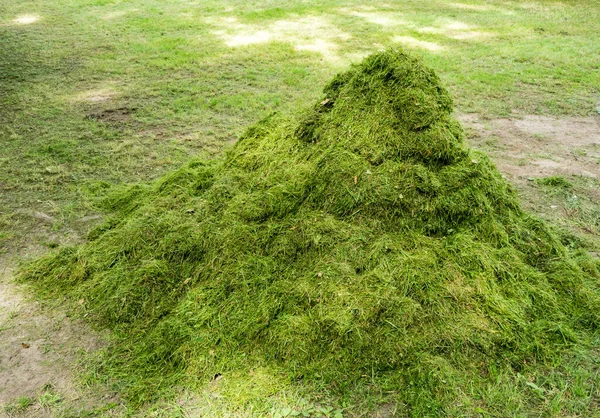 公園内の緑の芝生のヒープ — ストック写真