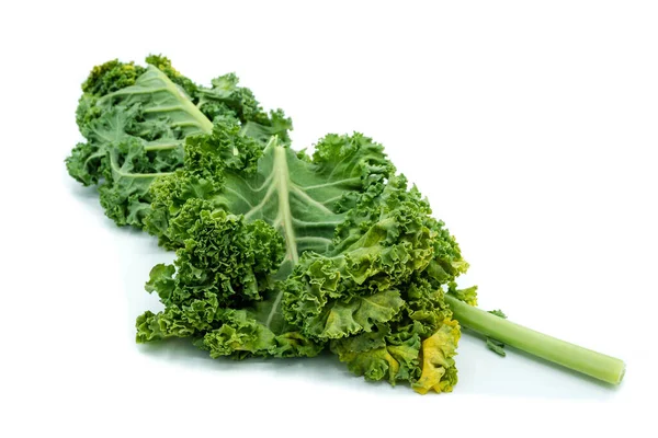 Kale Geïsoleerd Witte Achtergrond — Stockfoto