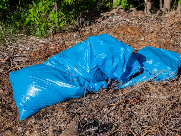 Bolsas Basura Contaminación Forestal —  Fotos de Stock