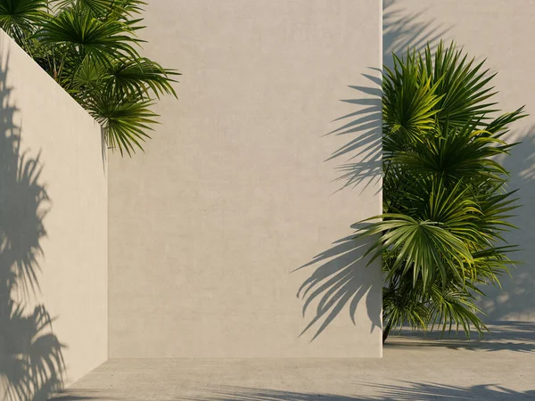 Parede Branca Brilhante Com Folhas Tropicais Verdes Luz Solar Com — Fotografia de Stock