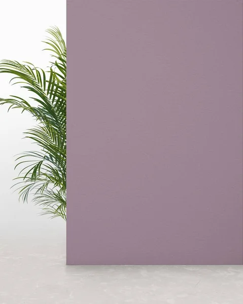Purple african colored wall with plant, background for product presentation