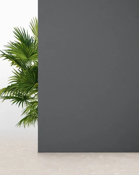 植物とグレーの色の壁 製品プレゼンテーションの背景 ストックフォト