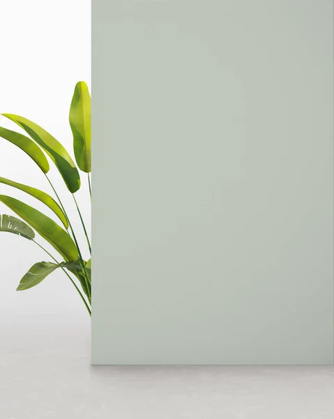 Laurel Yeşil Renkli Bitki Duvarı Ürün Sunumu Için Arkaplan — Stok fotoğraf
