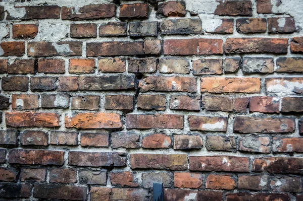 Duvar Varşova gettosu, Polonya