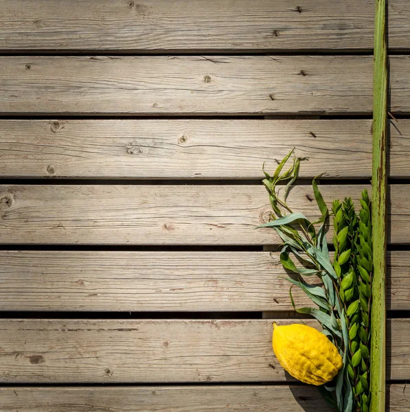 Vier Arten, Symbole des jüdischen Feiertagssukkot — Stockfoto