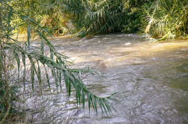 Ürdün Nehri, İsrail