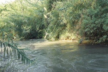 Ürdün Nehri, İsrail