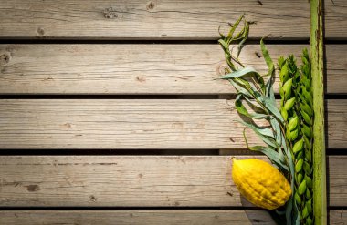 Dört tür, Yahudi tatil Sukkot sembolleri