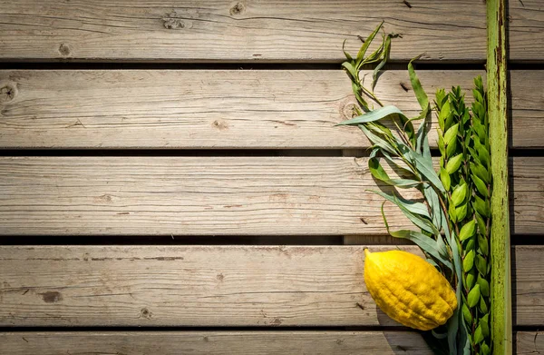 Dört tür, Yahudi tatil Sukkot sembolleri