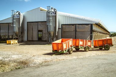 İsrail tarım kibbutz