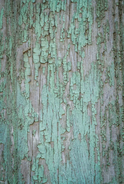 Gamla styrelsen, shabby färg, trä textur — Stockfoto