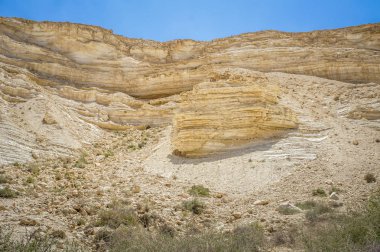 The Nahal Zin in Negev Desert, Israel clipart
