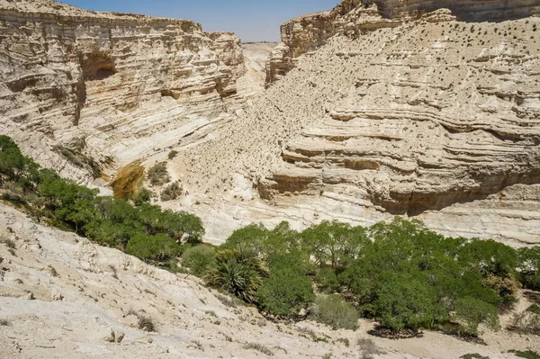 Le Nahal Zin dans le désert du Néguev, Israël — Photo