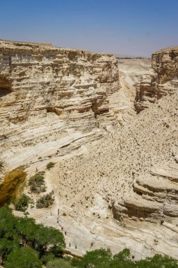 Negev Çölü İsrail'in Nahal Zin