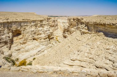 Negev Çölü İsrail'in Nahal Zin