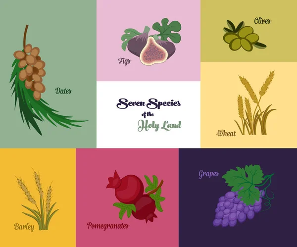 Kutsal topraklar, yedi tür Yahudi tatil Shavuot