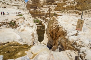 Negev Çölü İsrail'in Nahal Zin
