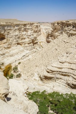 Negev Çölü İsrail'in Nahal Zin