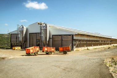 İsrail tarım kibbutz
