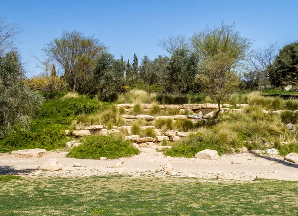 Kibbutz Sde Boker, Negev Çölü bahçede — Stok fotoğraf