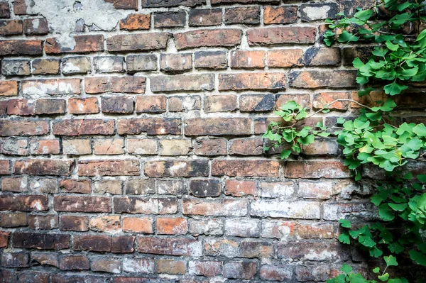 Wall of the Warsaw Ghetto, Poland