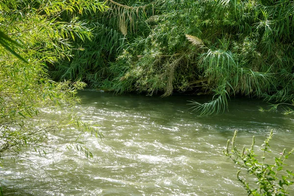 The Jordan River, Israel — Stock Photo, Image