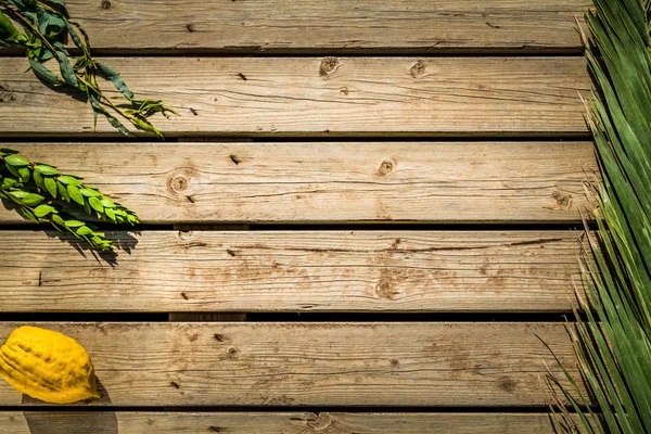 Vier Arten, Symbole des jüdischen Feiertagssukkot — Stockfoto