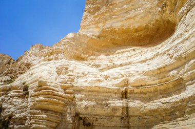 Negev Çölü İsrail'in Nahal Zin