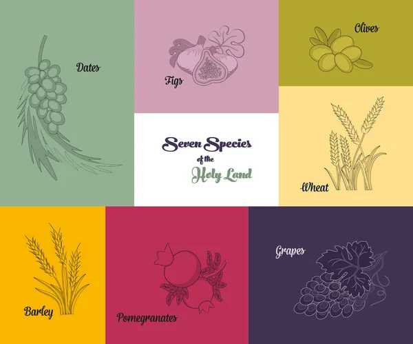 Kutsal topraklar, yedi tür Yahudi tatil Shavuot