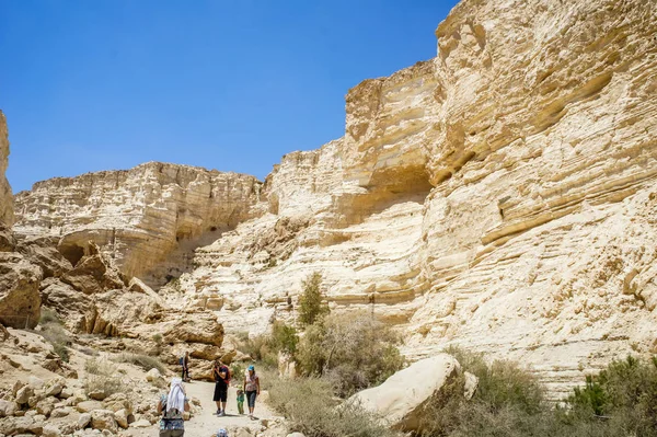 El Nahal Zin en el desierto del Negev, Israel — Foto de Stock