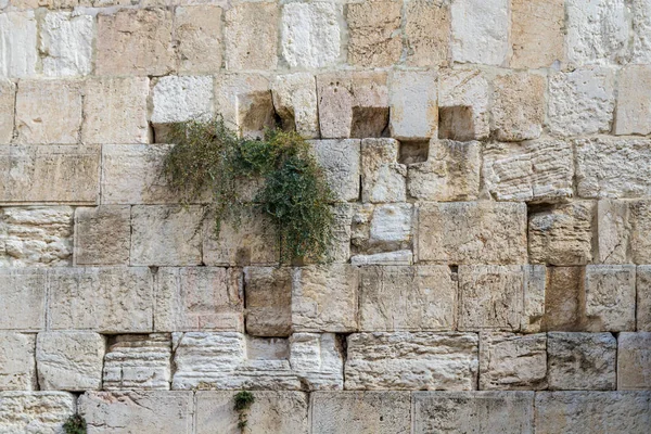 Западная стена в Иерусалиме, фон каменной стены — стоковое фото