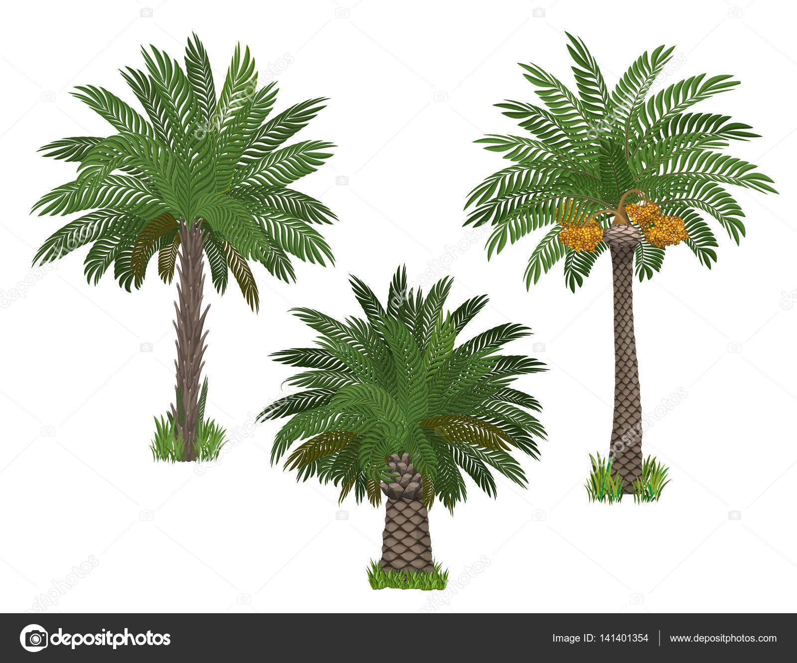 Palm fjädrar dating