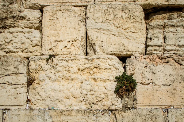 O Muro Ocidental na Cidade Velha de Jerusalém, Israel . — Fotografia de Stock