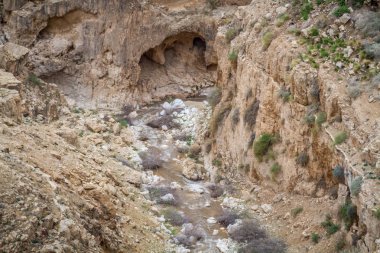 Wadi Qelt, dağ alan İsrail
