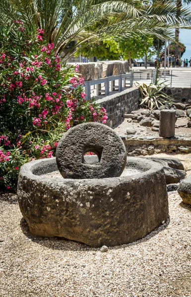 Antik millstone Capernaum İsrail'in zeytin yağı basın için — Stok fotoğraf