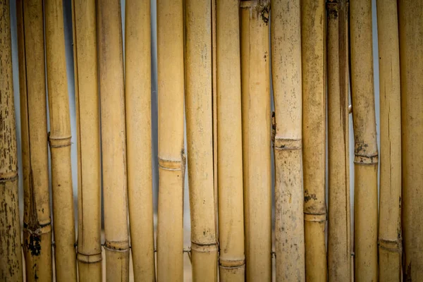 Gammal bambu staket bakgrund — Stockfoto