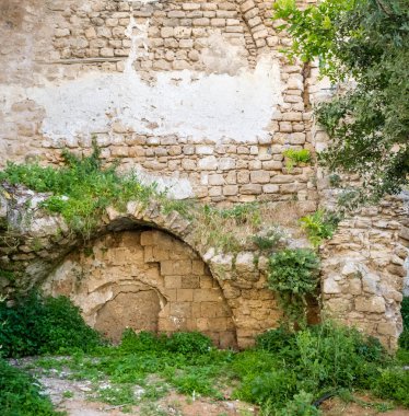 Antik adacığın kemer eski Jaffa İsrail'in bitkileri ile kaplı
