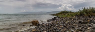 The beach of the Sea of Galilee, Israel clipart