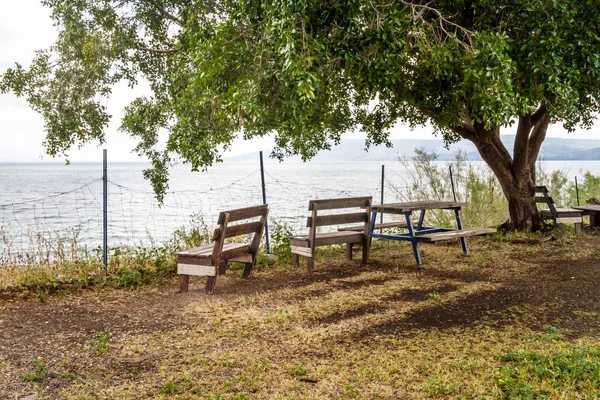 Скамейки под деревом с видом на Галилейское море, озеро Тибери — стоковое фото